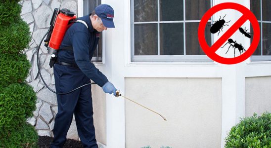 Seyrekköy Bit İlaçlama böcek ilaçlama ve haşere kontrolü — ilaclama-tr.com